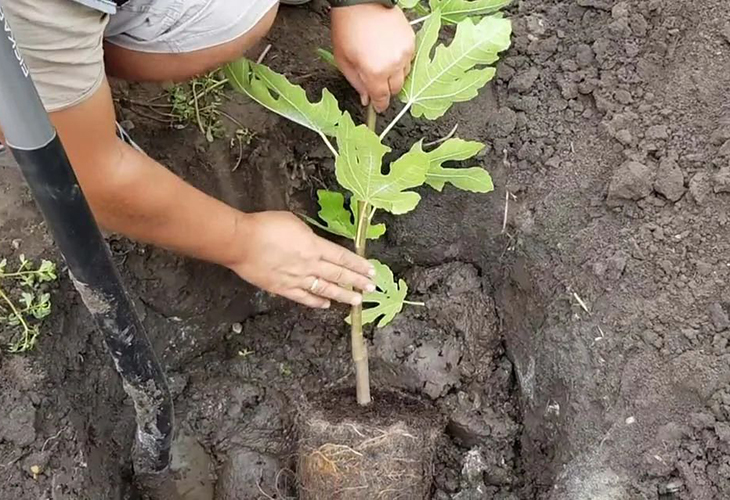 Заголовок